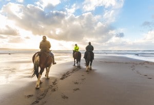 Riding holiday - 1 Apartments & Holiday Homes