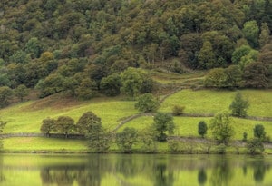 Grasmere