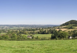 Cheltenham