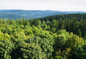 Distrito de Waldeck-Frankenberg