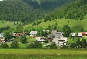 hero image